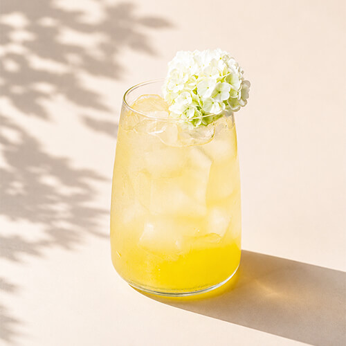 Elderflower Lemonade